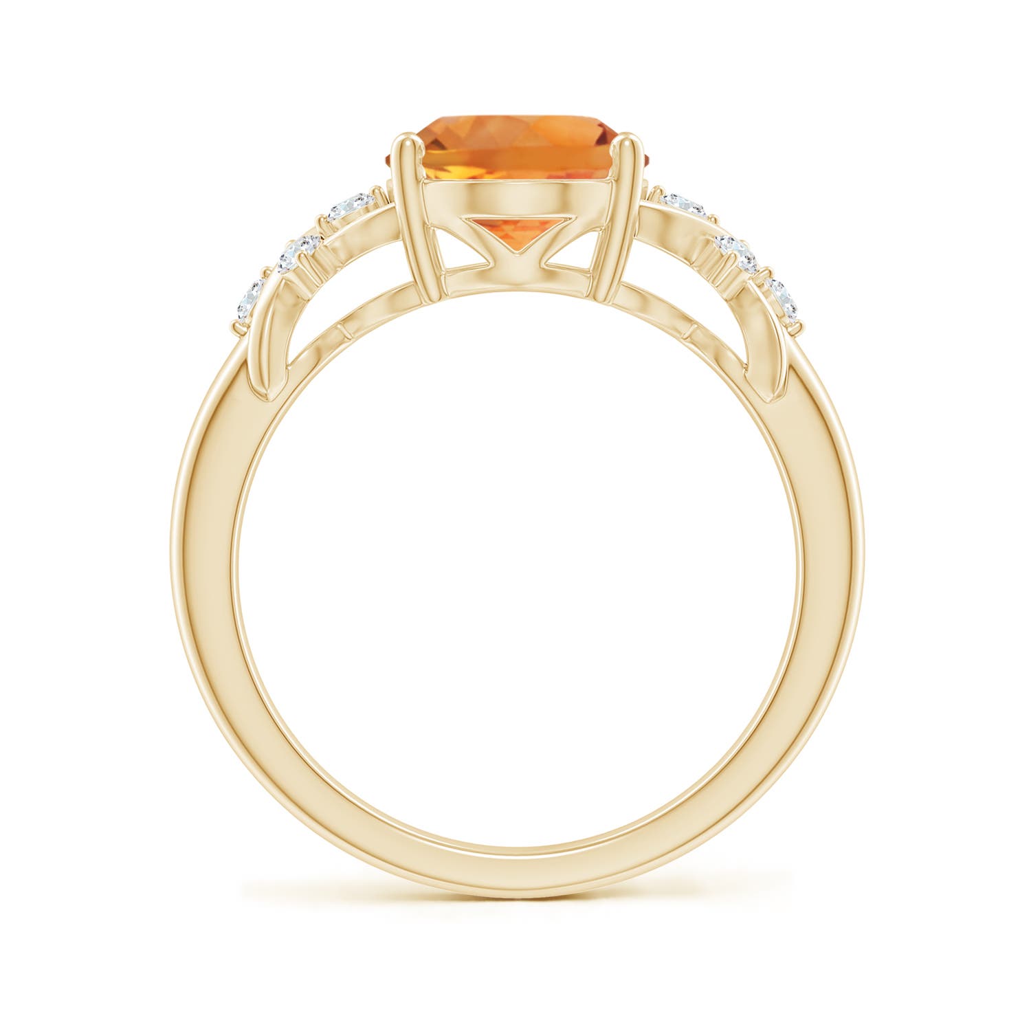 AAA - Citrine / 2.67 CT / 14 KT Yellow Gold