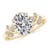 2 2/3 carats