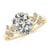 2 2/3 carats