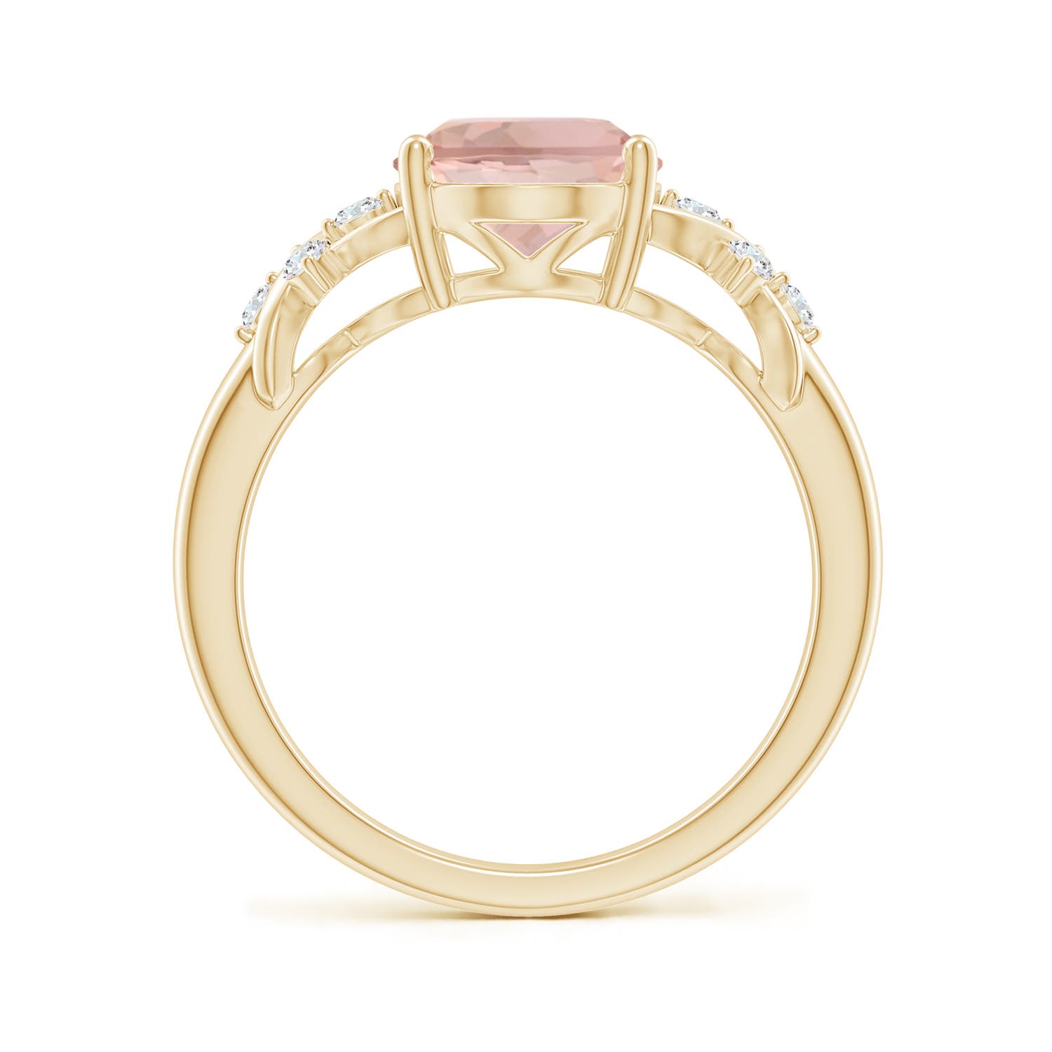 AAA - Morganite / 2.67 CT / 14 KT Yellow Gold