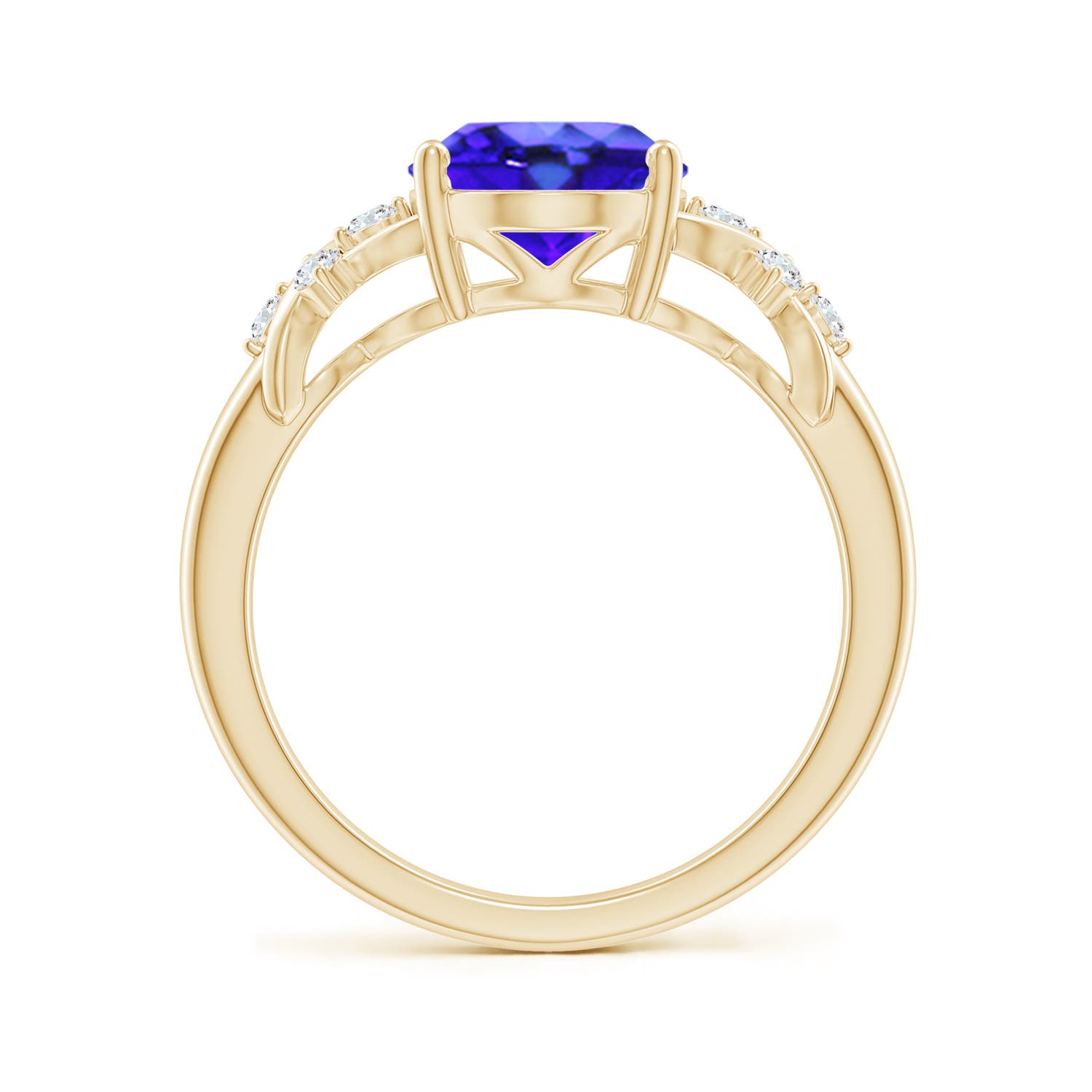 AAA - Tanzanite / 3.07 CT / 14 KT Yellow Gold