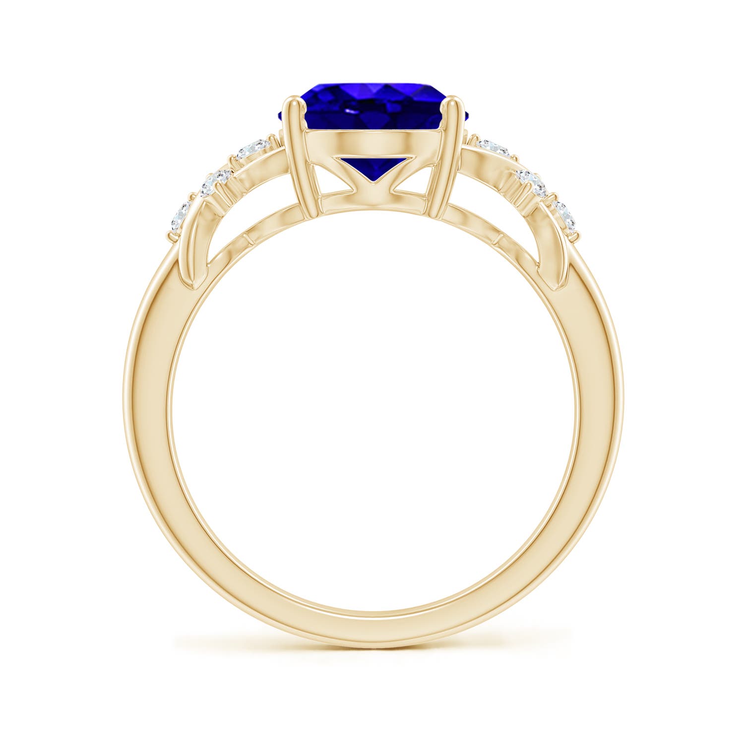 AAAA - Tanzanite / 3.07 CT / 14 KT Yellow Gold