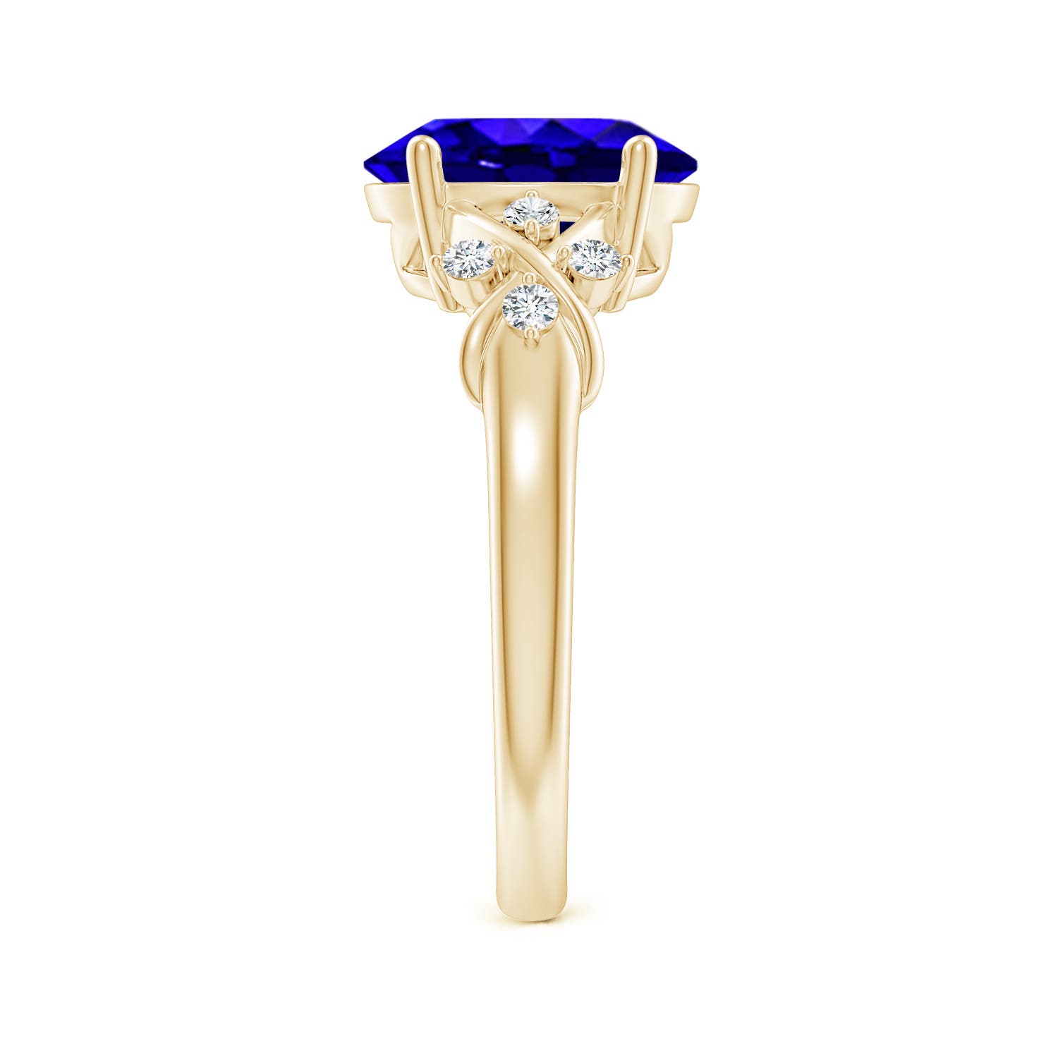 AAAA - Tanzanite / 3.07 CT / 14 KT Yellow Gold