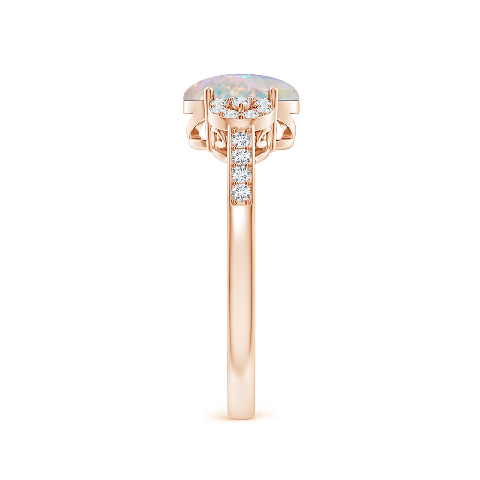 8x6mm AAAA Solitaire Oval Opal Cathedral Ring with Diamond Accents in Rose Gold side 299