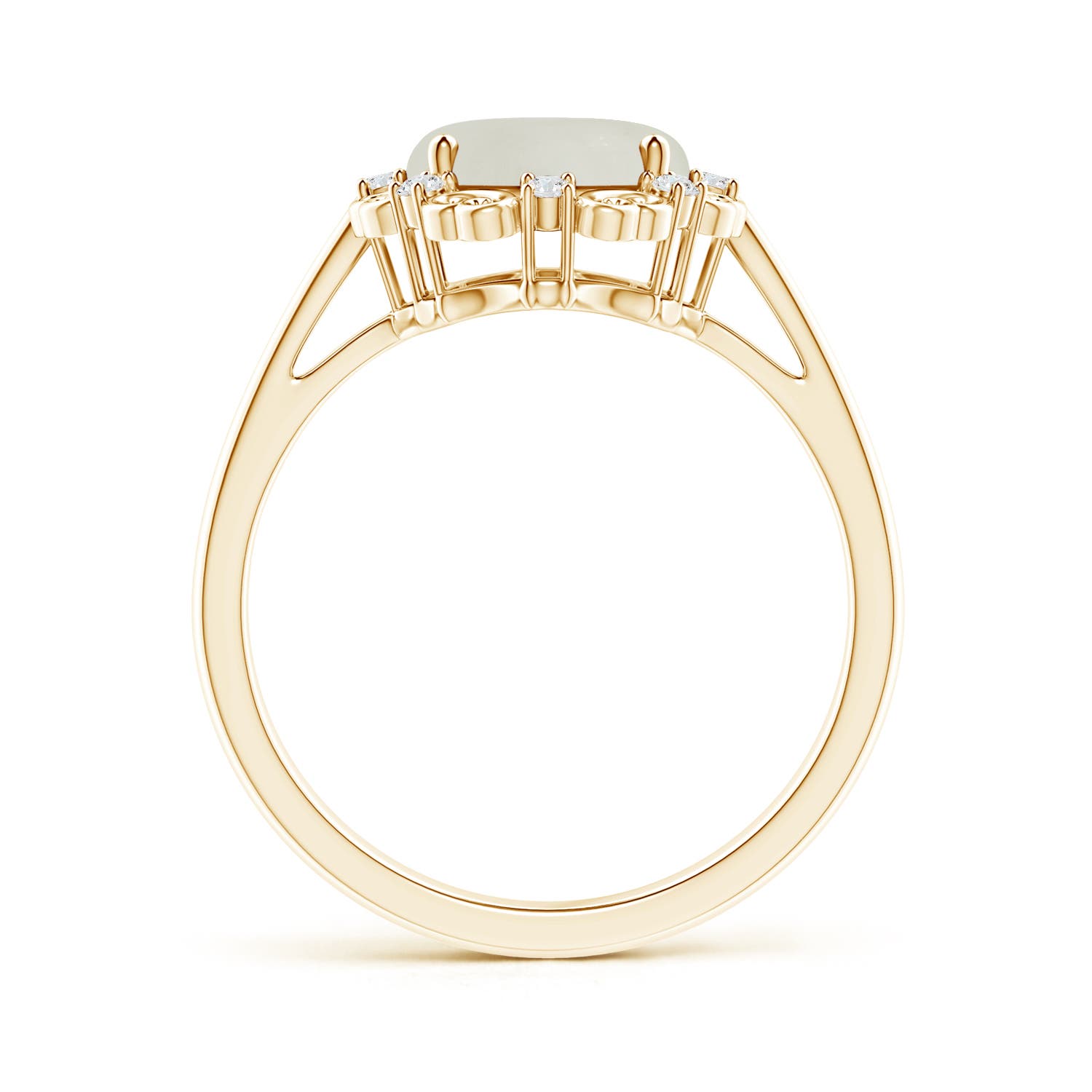 AAA - Moonstone / 2.61 CT / 14 KT Yellow Gold