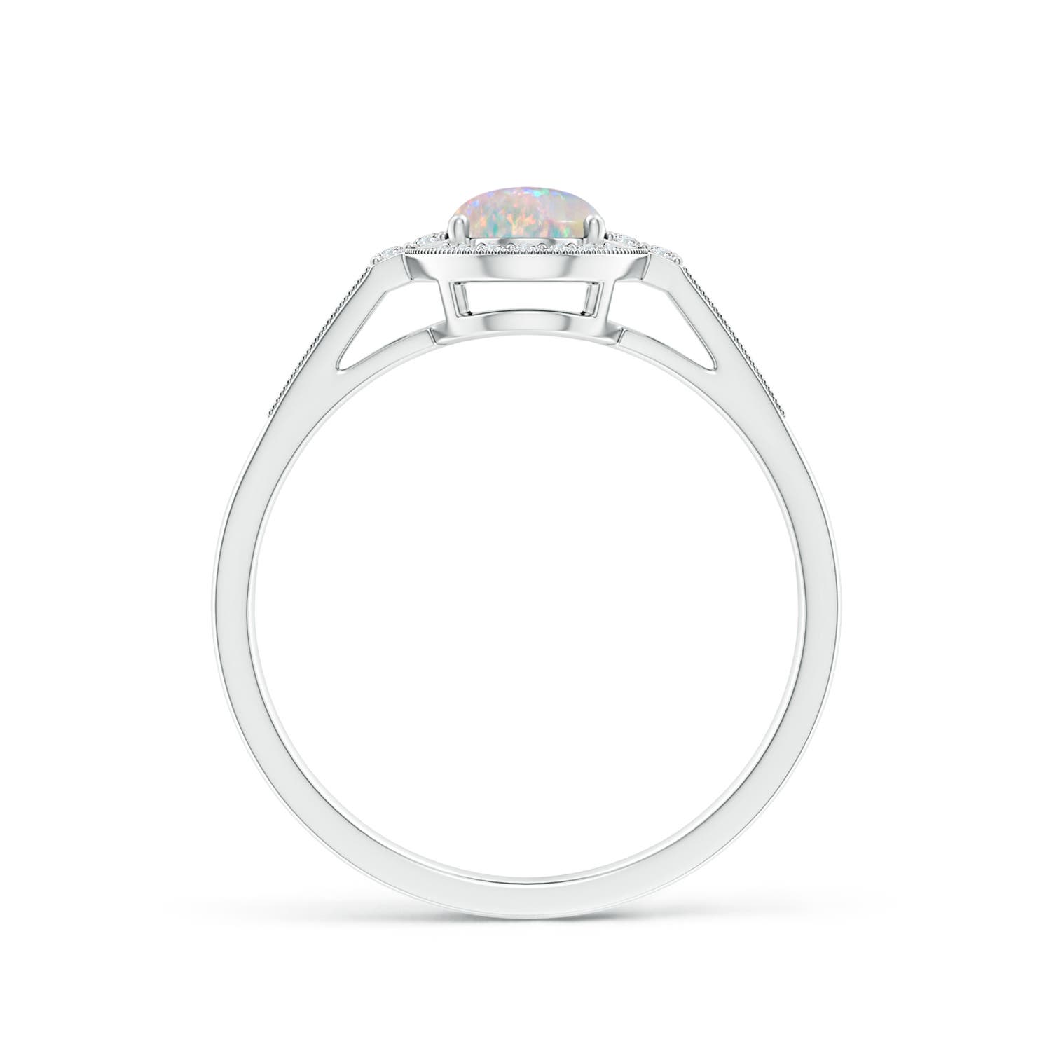 AAAA - Opal / 0.77 CT / 14 KT White Gold