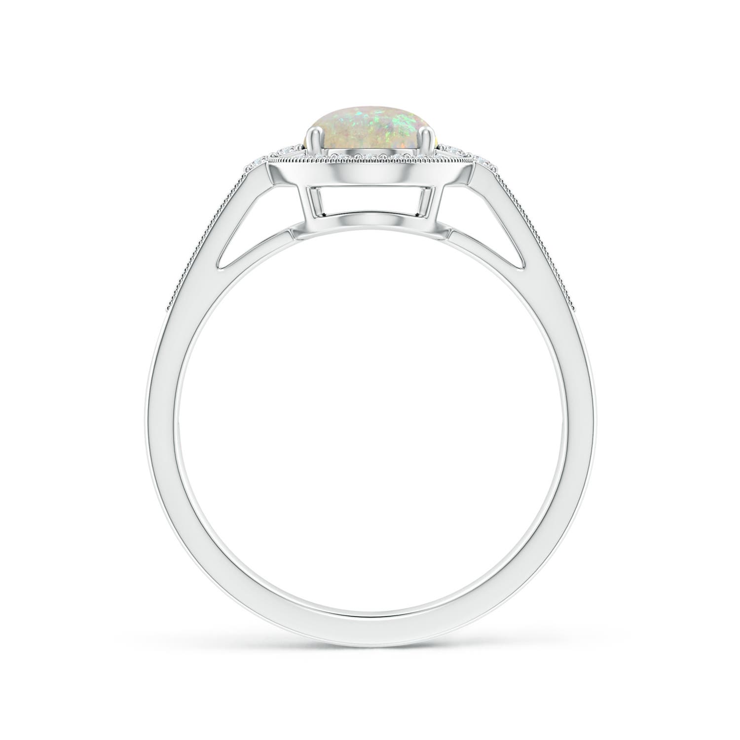 AAA - Opal / 1.25 CT / 14 KT White Gold