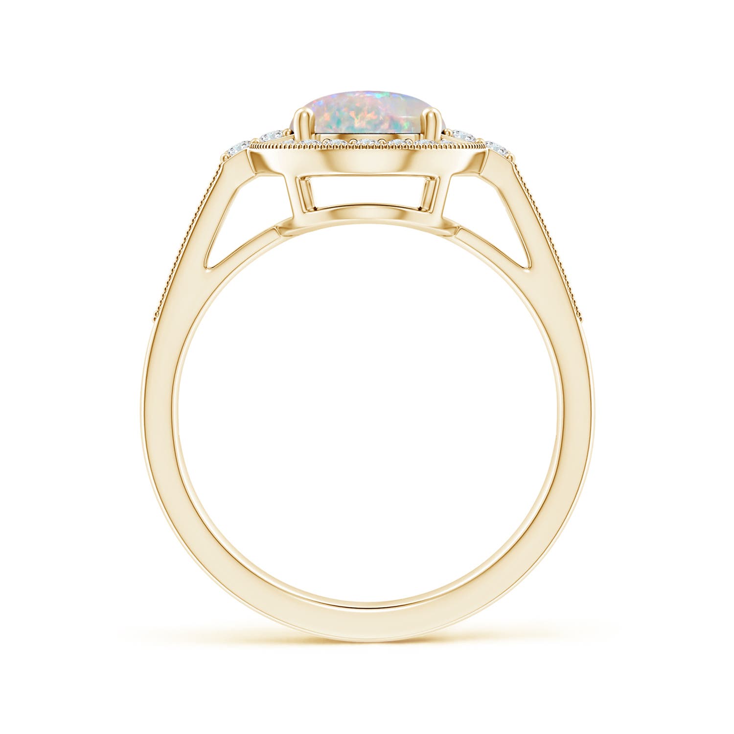 AAAA - Opal / 1.72 CT / 14 KT Yellow Gold