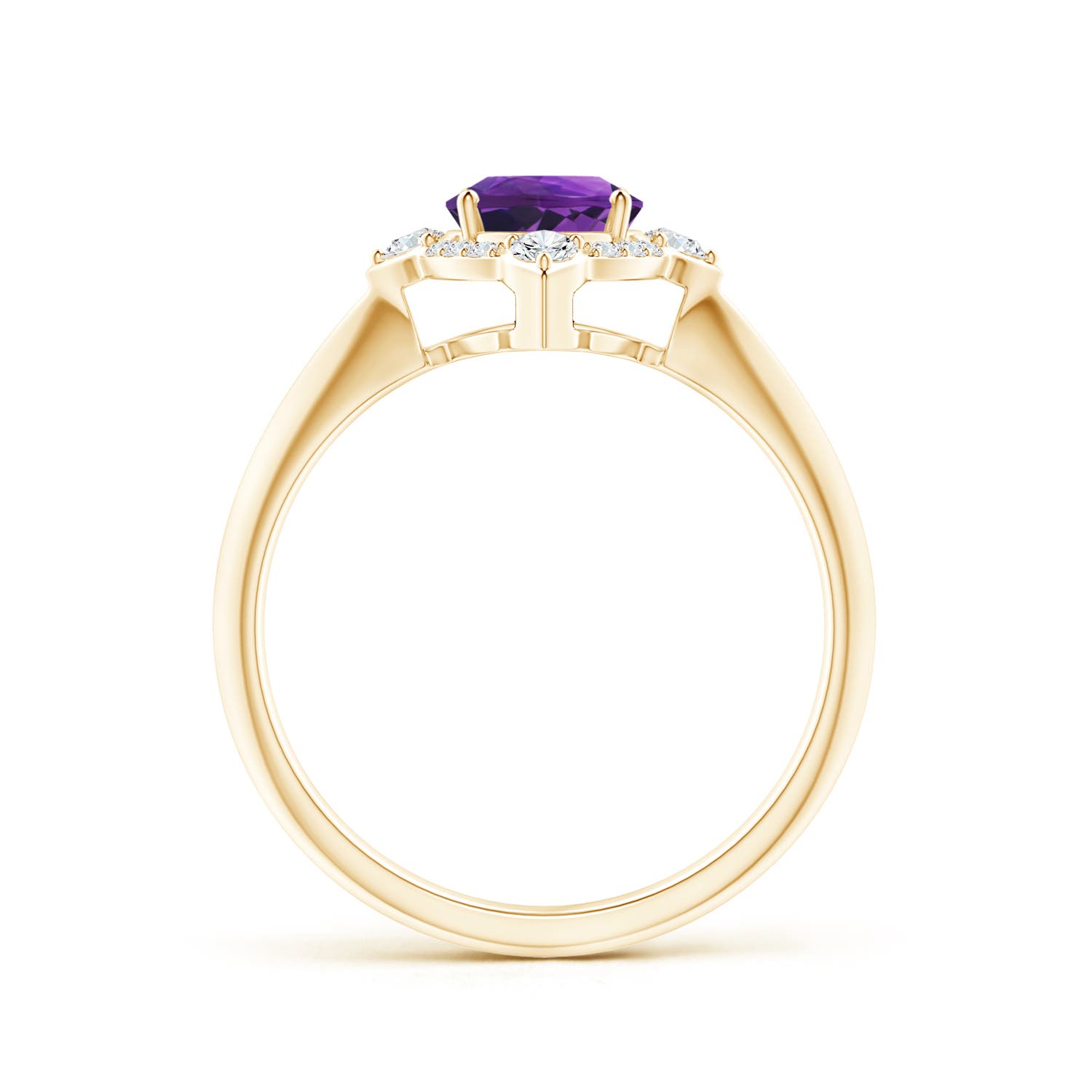 AAAA - Amethyst / 1.35 CT / 14 KT Yellow Gold