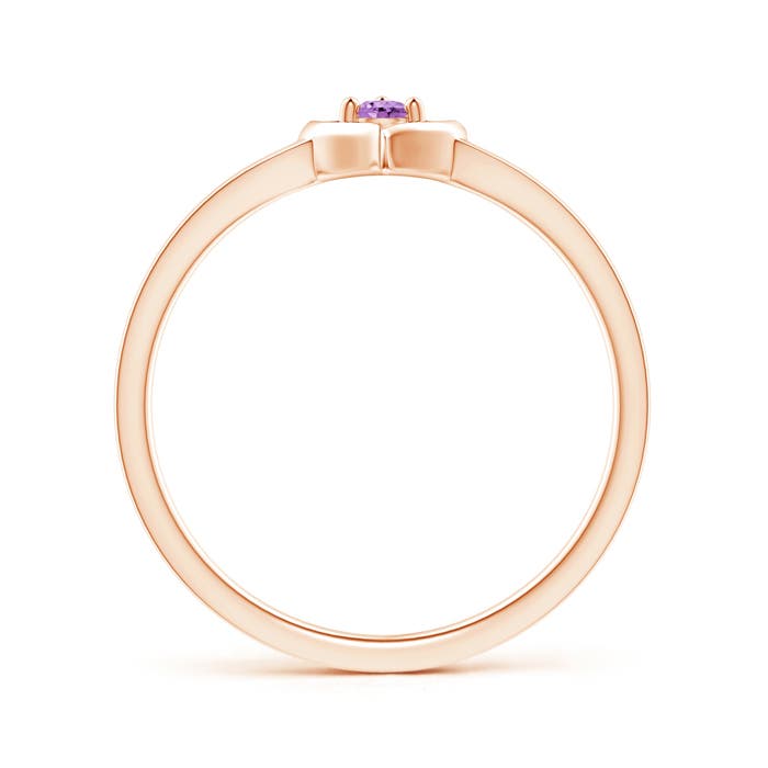 A - Amethyst / 0.06 CT / 14 KT Rose Gold