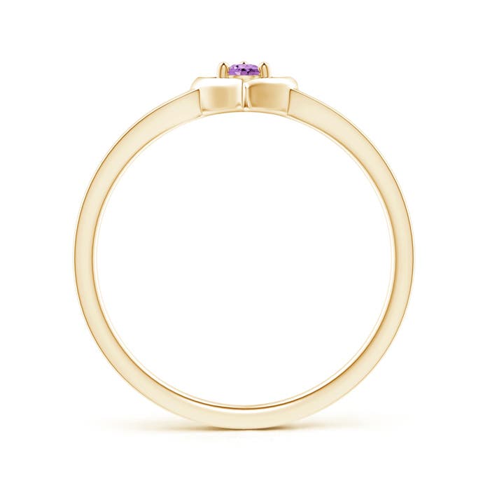 A - Amethyst / 0.06 CT / 14 KT Yellow Gold