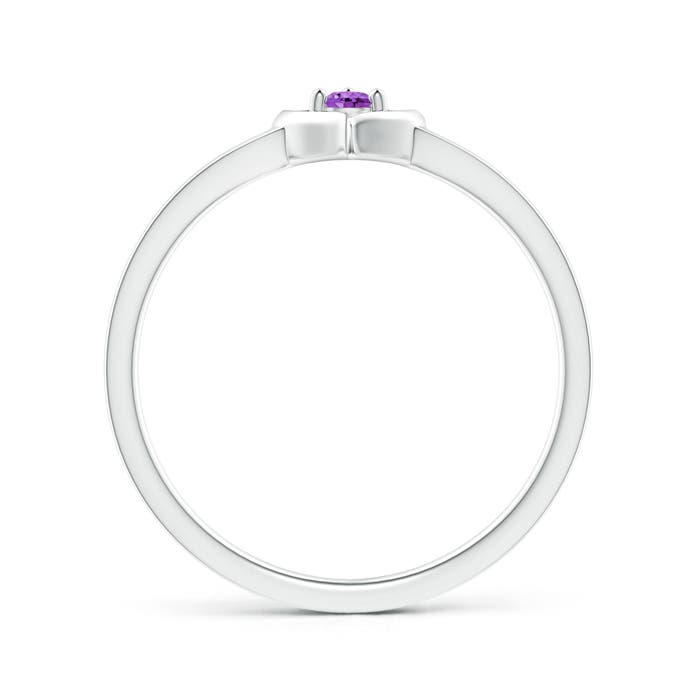 AA - Amethyst / 0.06 CT / 14 KT White Gold