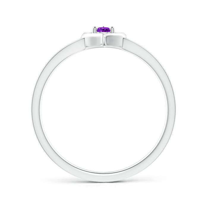 AAA - Amethyst / 0.06 CT / 14 KT White Gold