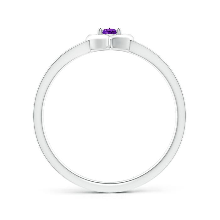 AAAA - Amethyst / 0.06 CT / 14 KT White Gold