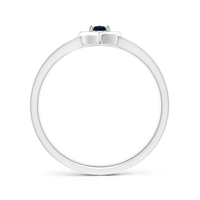 A - Blue Sapphire / 0.09 CT / 14 KT White Gold