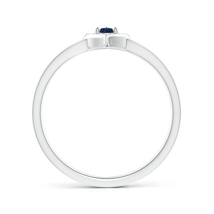 AA - Blue Sapphire / 0.09 CT / 14 KT White Gold