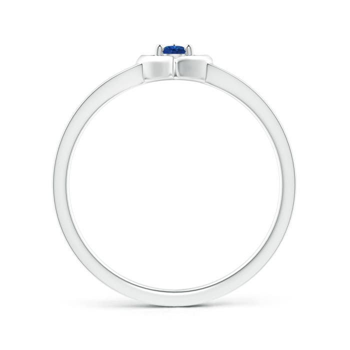 AAA - Blue Sapphire / 0.09 CT / 14 KT White Gold