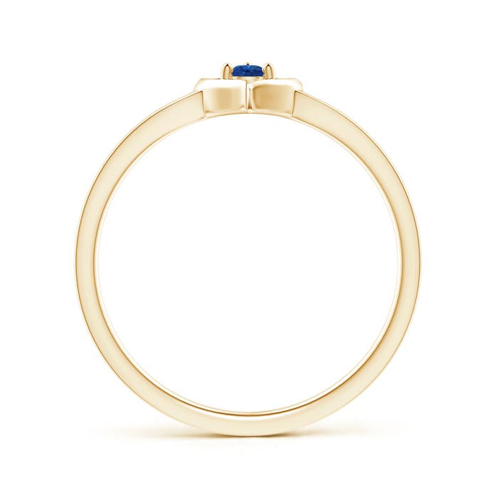 AAA - Blue Sapphire / 0.09 CT / 14 KT Yellow Gold