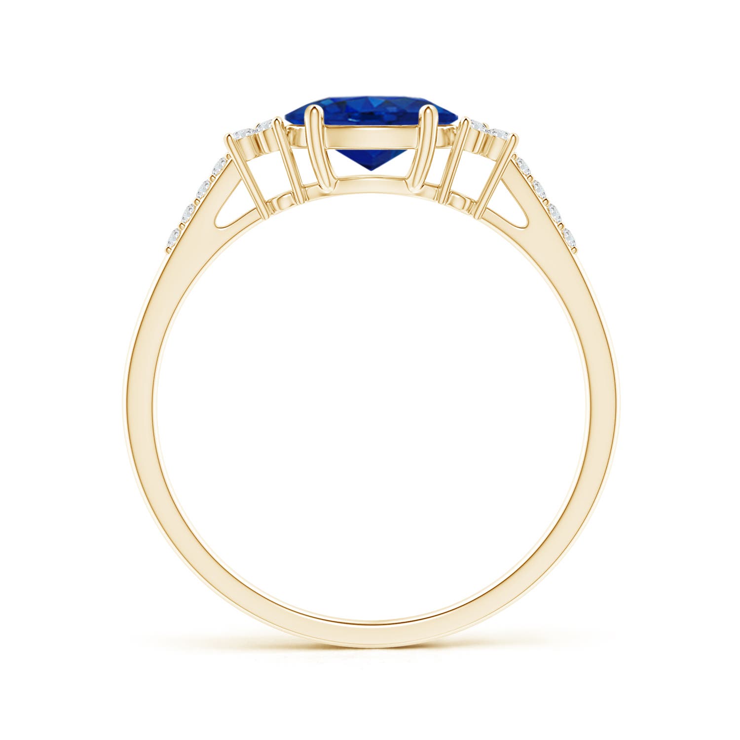 AAA - Blue Sapphire / 0.94 CT / 14 KT Yellow Gold