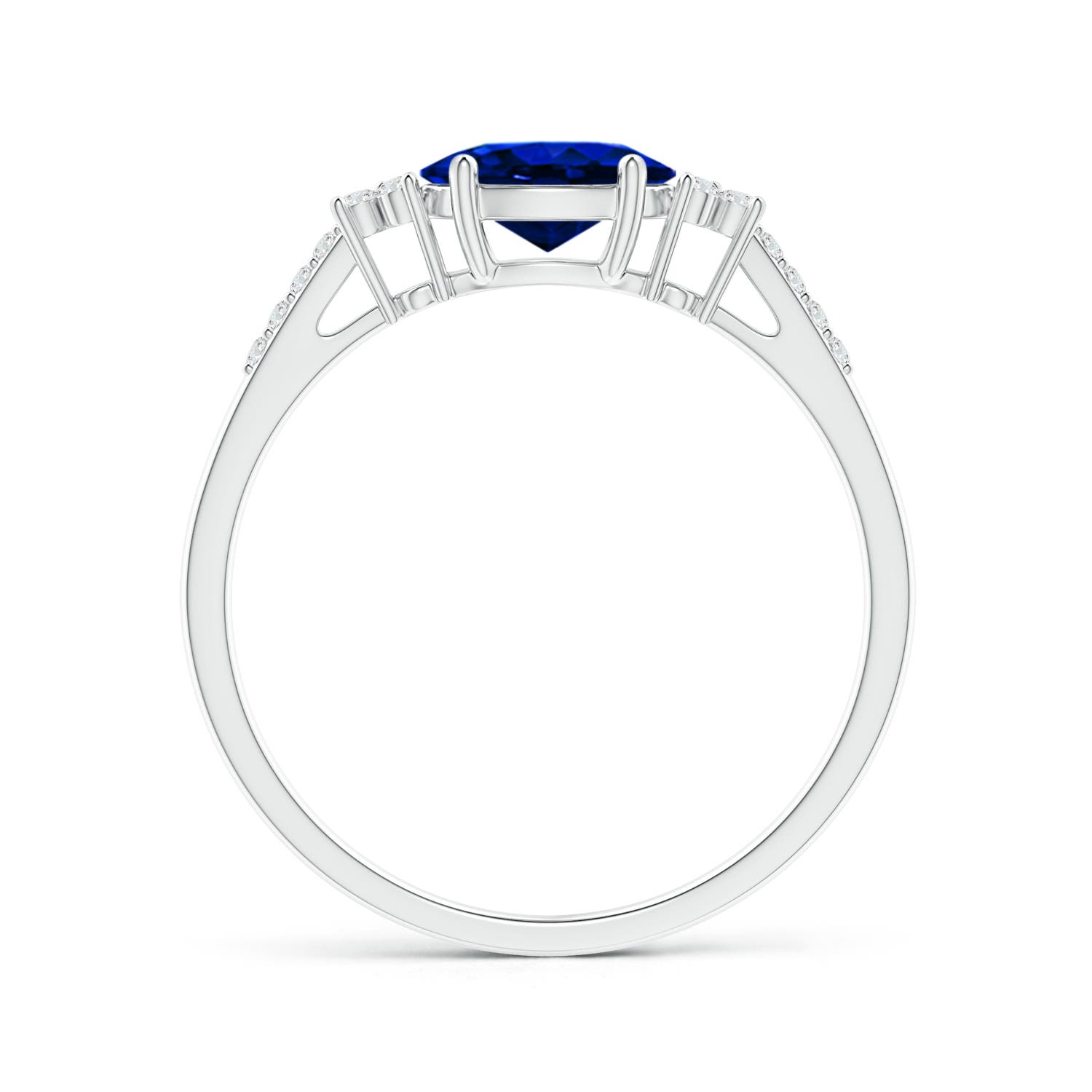 AAAA - Blue Sapphire / 0.94 CT / 14 KT White Gold