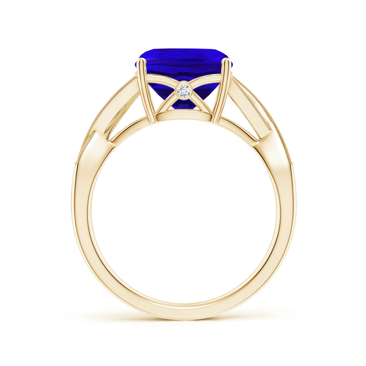 AAAA - Tanzanite / 3.94 CT / 14 KT Yellow Gold