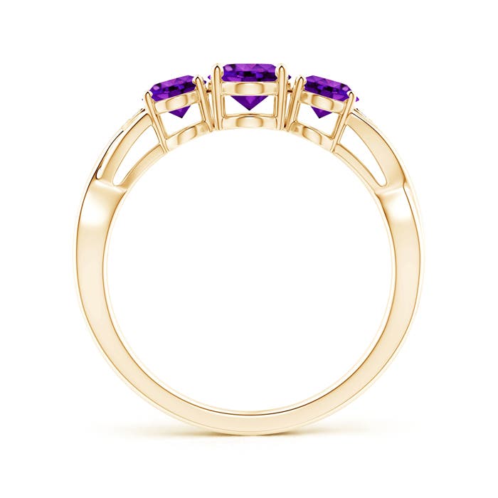 AAAA - Amethyst / 1.54 CT / 14 KT Yellow Gold