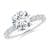 2 1/2 carats
