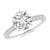 2 1/2 carats