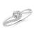 1/3 carat