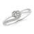 1/3 carat