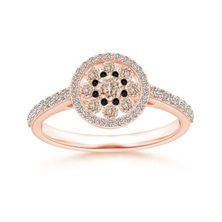 3.1mm A White and Coffee Diamond Cluster Halo Ring in Rose Gold