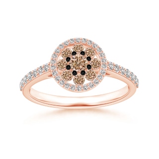 3.1mm AA White and Coffee Diamond Cluster Halo Ring in Rose Gold