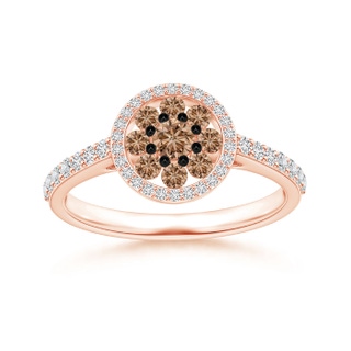 3.1mm AAA White and Coffee Diamond Clustre Halo Ring in 10K Rose Gold