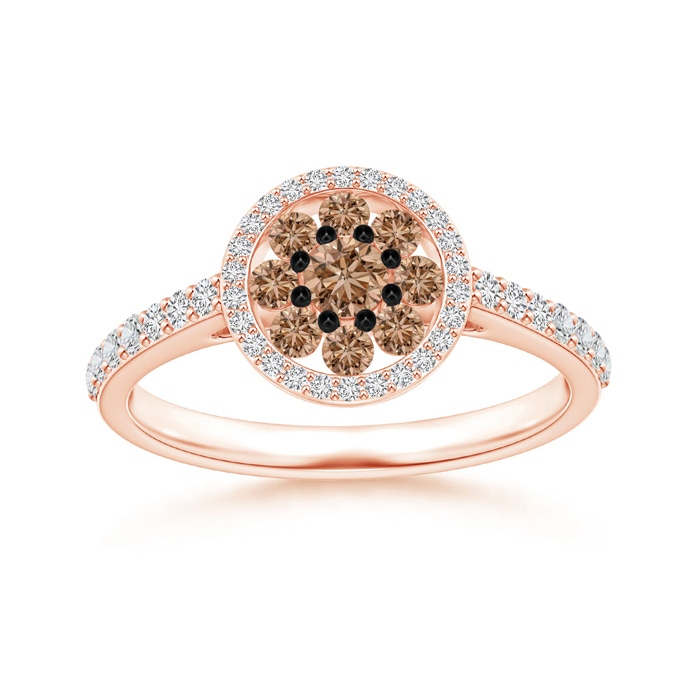 3.1mm AAA White and Coffee Diamond Clustre Halo Ring in Rose Gold