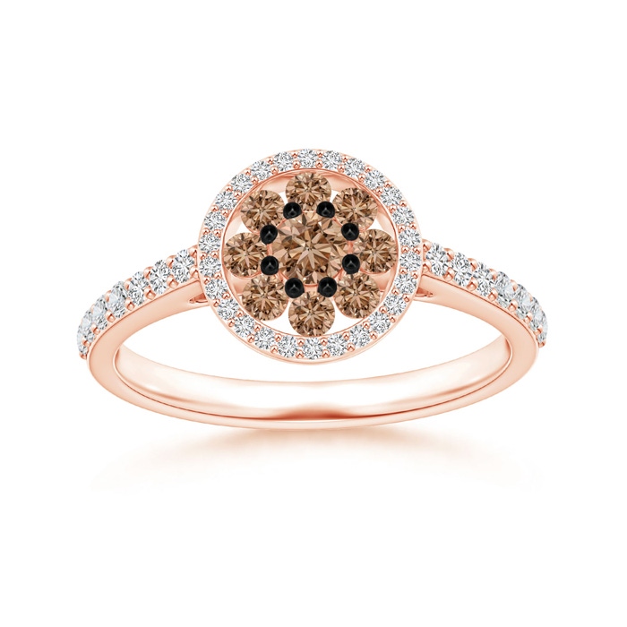 3.1mm AAA White and Coffee Diamond Clustre Halo Ring in Rose Gold 