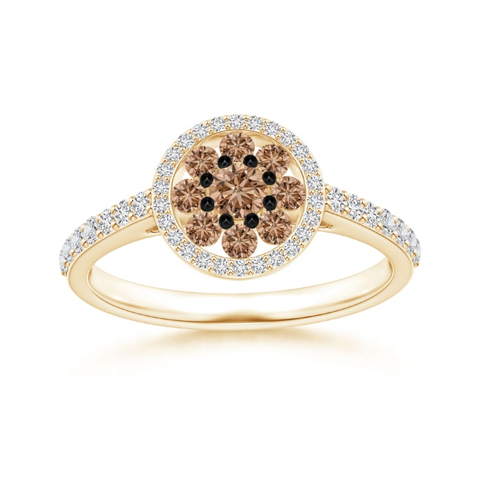 3.1mm AAA White and Coffee Diamond Cluster Halo Ring in Yellow Gold