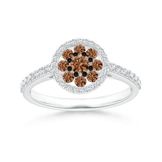 3.1mm AAAA White and Coffee Diamond Clustre Halo Ring in P950 Platinum