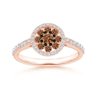 3.1mm AAAA White and Coffee Diamond Cluster Halo Ring in Rose Gold