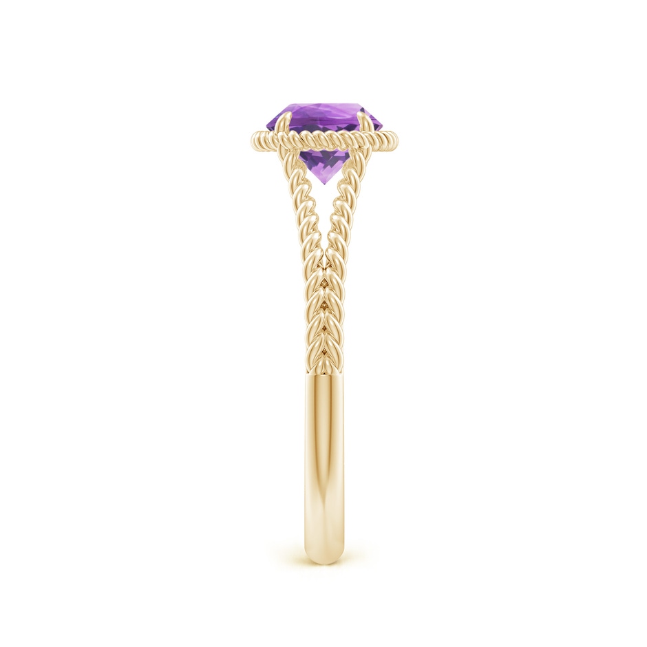 6mm A Amethyst Twist Rope Split Shank Ring in 18K Yellow Gold side 299