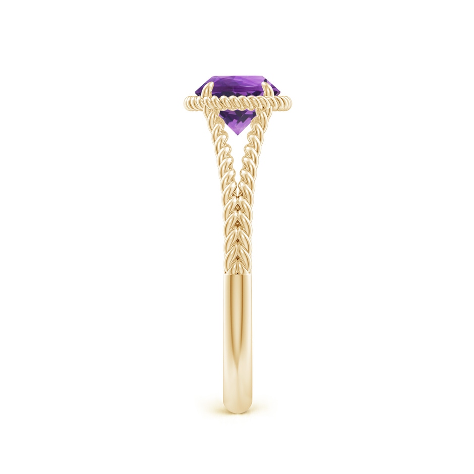 6mm AAA Amethyst Twist Rope Split Shank Ring in Yellow Gold side 299