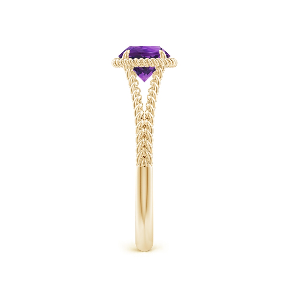 6mm AAAA Amethyst Twist Rope Split Shank Ring in Yellow Gold side 299