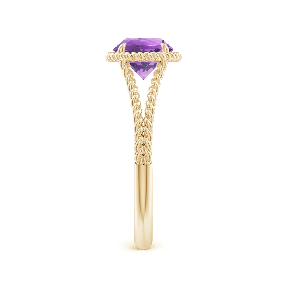 7mm A Amethyst Twist Rope Split Shank Ring in 18K Yellow Gold side 299