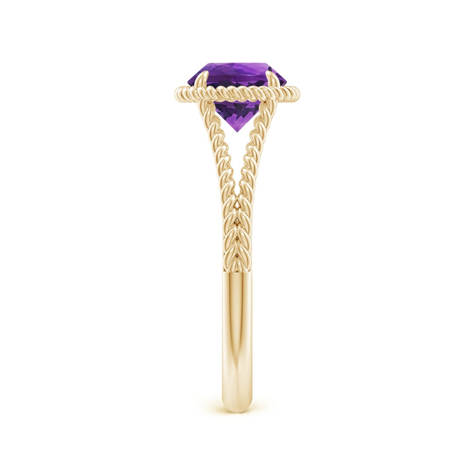 7mm AAAA Amethyst Twist Rope Split Shank Ring in 18K Yellow Gold side 299