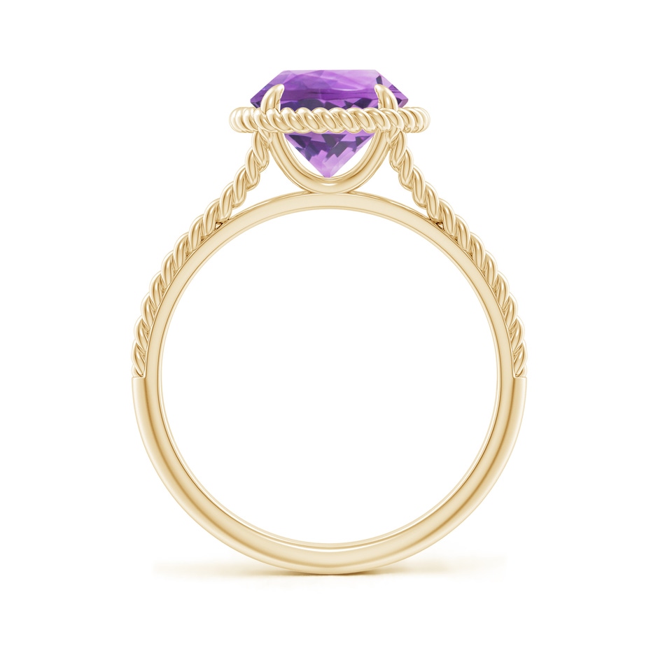 8mm A Amethyst Twist Rope Split Shank Ring in Yellow Gold side 199