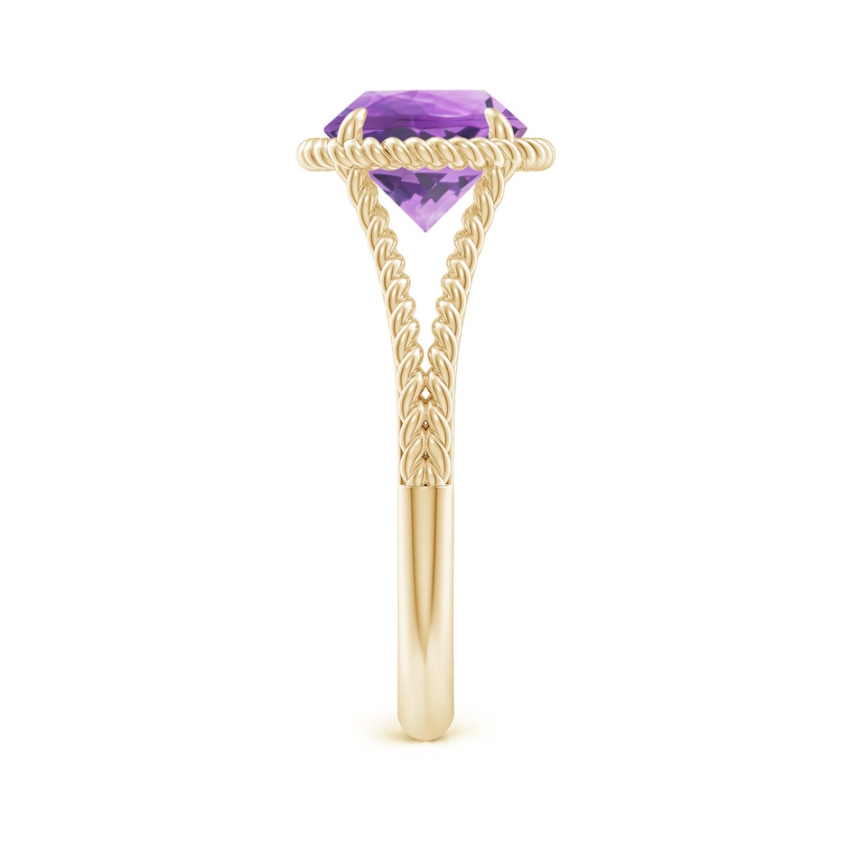 8mm A Amethyst Twist Rope Split Shank Ring in Yellow Gold side 299