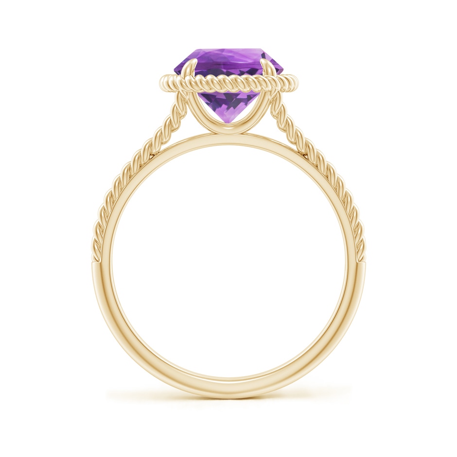 8mm AA Amethyst Twist Rope Split Shank Ring in Yellow Gold side 199