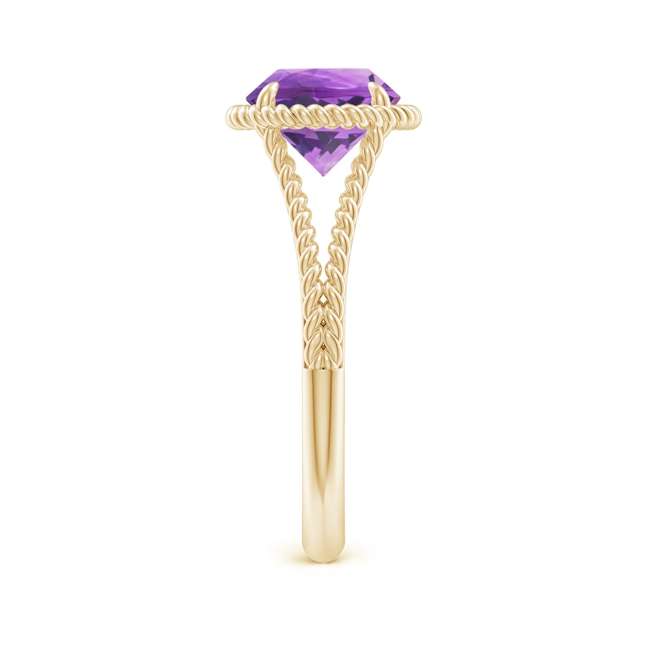 8mm AA Amethyst Twist Rope Split Shank Ring in Yellow Gold side 299