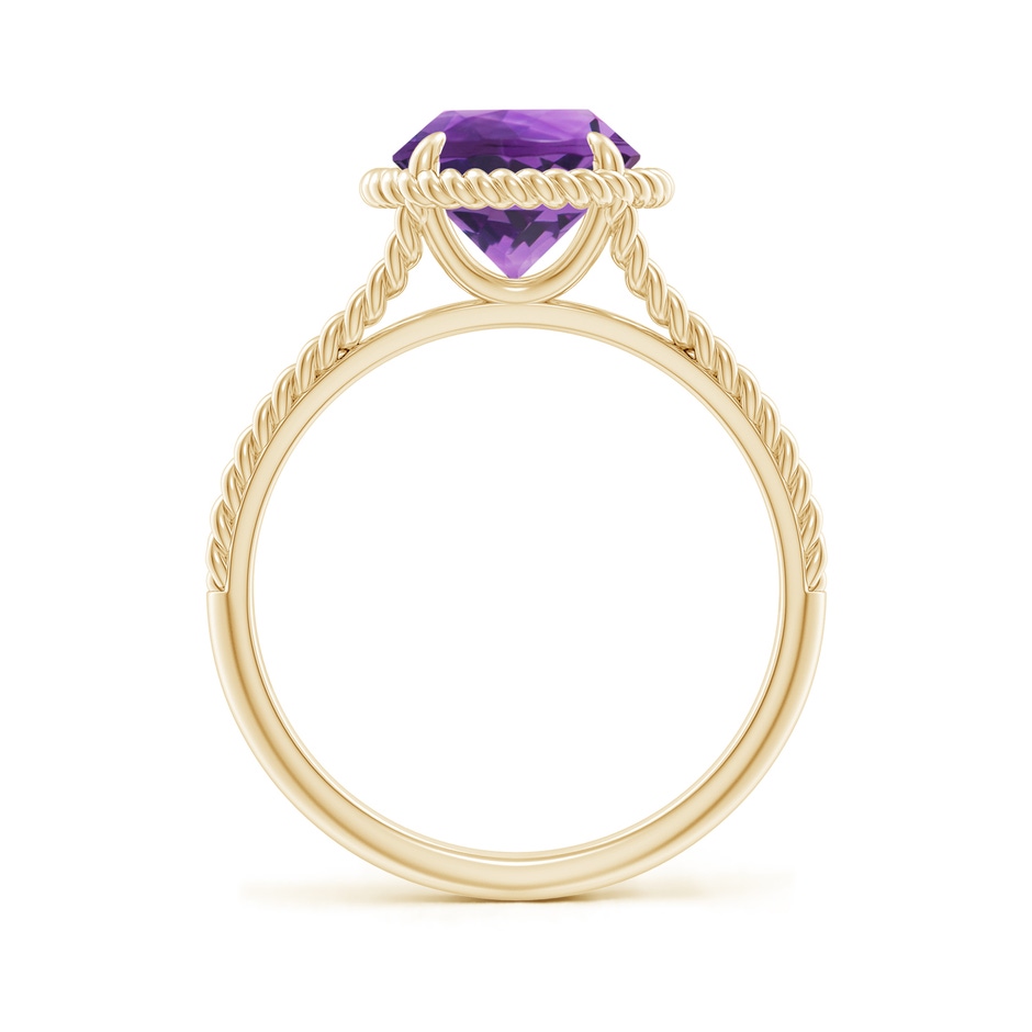 8mm AAA Amethyst Twist Rope Split Shank Ring in 18K Yellow Gold side 199