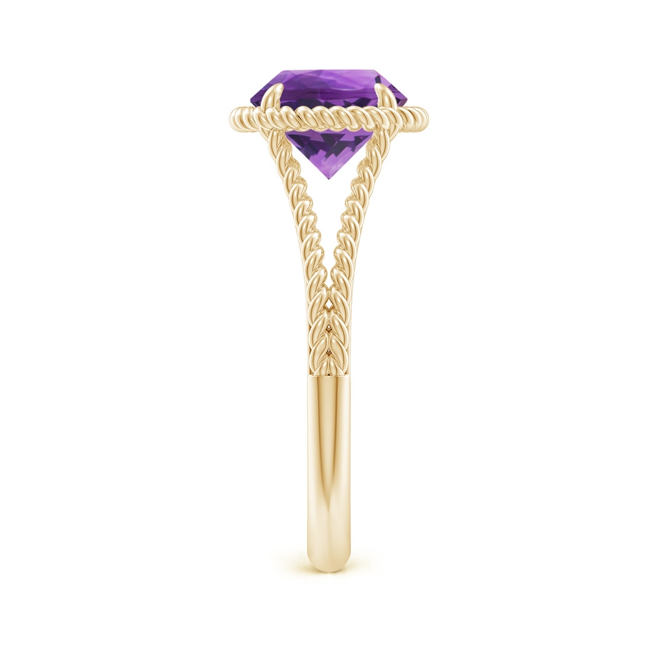 8mm AAA Amethyst Twist Rope Split Shank Ring in 18K Yellow Gold side 299