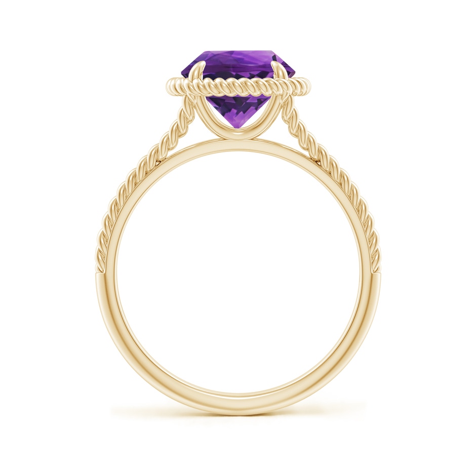 8mm AAAA Amethyst Twist Rope Split Shank Ring in Yellow Gold side 199